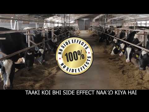 Zeolite for research purpose