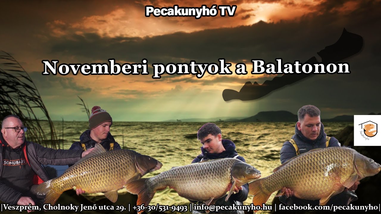 PecakunyhóTV - Bojlis kalandok - Novemberi pontyok 1. rész