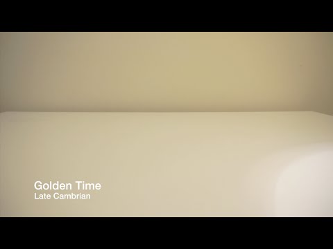 Late Cambrian - Golden Time (Official Music Video)