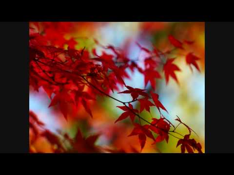 Pacific soul - Lau hani,,,,,,,Lemo'z