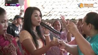 Download lagu JURAGAN EMPANG_Narina Nada Cantika Feat Popong Meong mp3 Download lagu JURAGAN EMPANG_Narina Nada Cantika Feat Popong Meong mp3