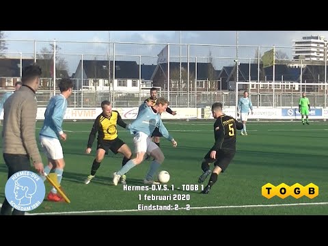 Samenvatting Hermes-D.V.S. 1 - TOGB 1