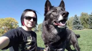 NO! The Fish Tank Broke!