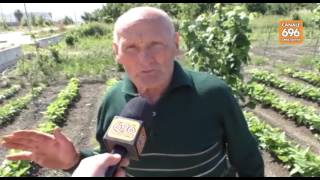 allarma-agricoltura-a-sarno-rifiuti-tra-frutta-e-ortaggi