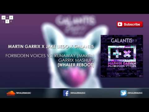 Martin Garrix vs. Galantis - Forbidden Voices vs. Runaway (Martin Garrix Mashup) [Whaler Reboot]