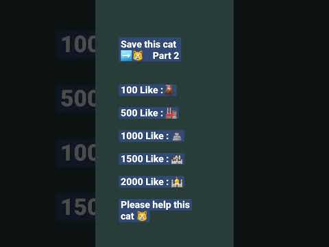 Save this cat😿 from dying⚰️ if you have a good heart❤❤❤ #savethecats #cat #Short