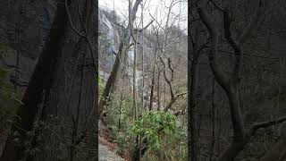 Chimney Rock State Park waterfall #outdoorlife #camping #outdoors #nature #hikingadventures #hiking