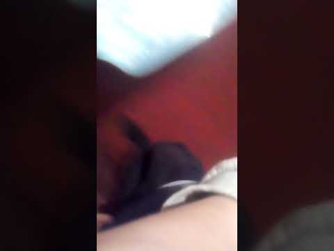 Фейерверк !!!!