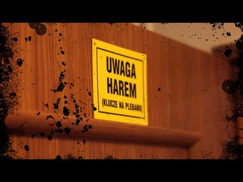 Kidman & Bolo - Zabijamy Cisze