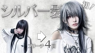 1日にブリーチ4回してシルバー髪にしたのだ