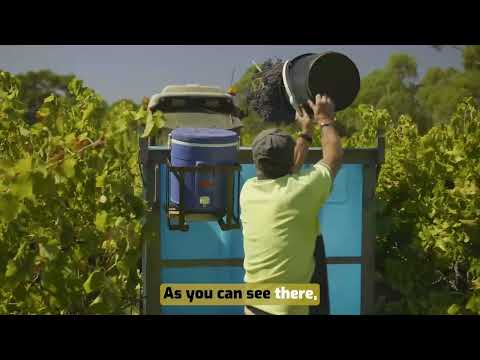 Curtis Winery