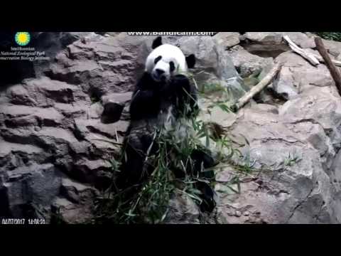 2017.04.07 BEI BEI -  EATING & DRINKING