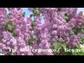 Ivan Skobtsov - Hoa Thắm Nở Trong Vườn Xuân (Bản tiếng Nga ...