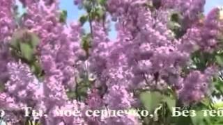 Ivan Skobtsov - Hoa Thắm Nở Trong Vườn Xuân (Bản tiếng Nga)
