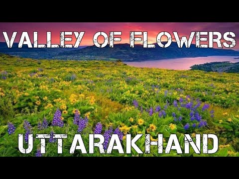 Information and History of Valley of Flowers Trek | Uttarakhand | Heaven on Earth
