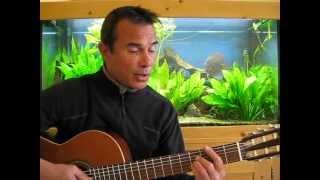 Mon nain de jardin de Renaud (reprise)