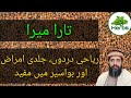 Health Benefits Of Tara Mira Urdu Hindi Tara Mira Ke Fayde Hakeem Zia Ur Rehman