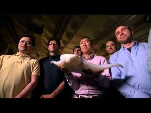 Discovery Channel finds UVa's Robotic Manta Rays