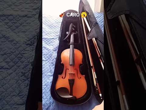 Diferencias de un violín (Caro y Barato )🤑👌🏻 #humor #memes