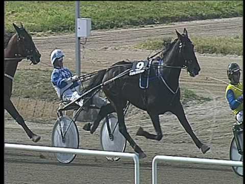 Trotto 17/04/2017 - 4ª corsa