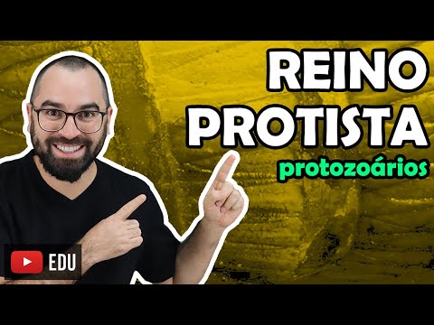 Reino Protoctista: Protozoários - Aula 13 - Módulo IV: Microbiologia, Fungos e Protistas | Prof Gui