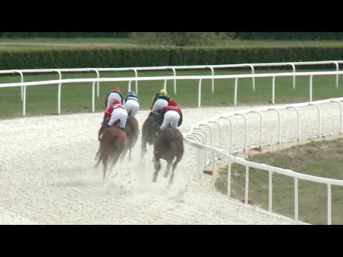 2017.04.09. 3. futam - ÁPRILISI DÍJ (V.kat.) (szintetikus pálya)