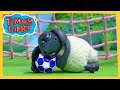 Sweet Dreams Best Of Timmy Time
