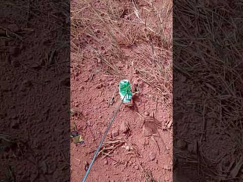 fazer a coleta dessa latinha nessa estrada saída de formoso de minas gerais