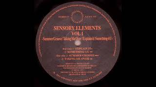 Sensory Elements - Explain It [AZNY 04]