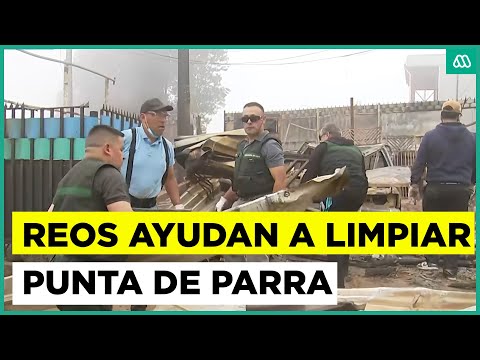 Reos ayudan a limpiar los terrenos en Punta de Parra