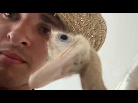 Uncle Ben sings to Baby Kevin 😳*Emotional*