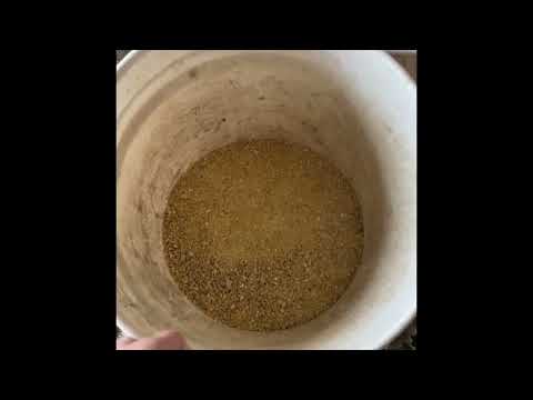 Homemade Soy-Free Organic Pig Feed