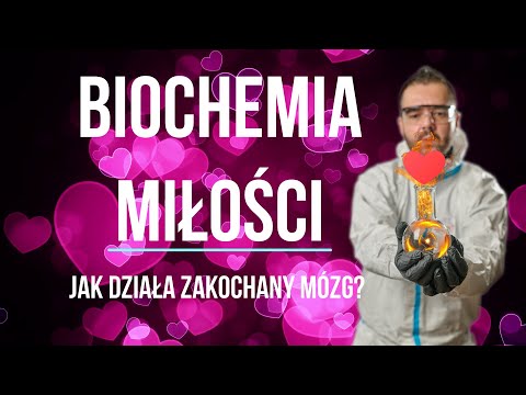 Biochemia miłości. Jak działa zakochany mózg? Zakochanie z punktu widzenia biologii molekularnej.