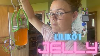 Lilikoi Jelly | Hamakua Homestead