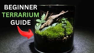 How To Make a Terrarium An In Depth Tutorial