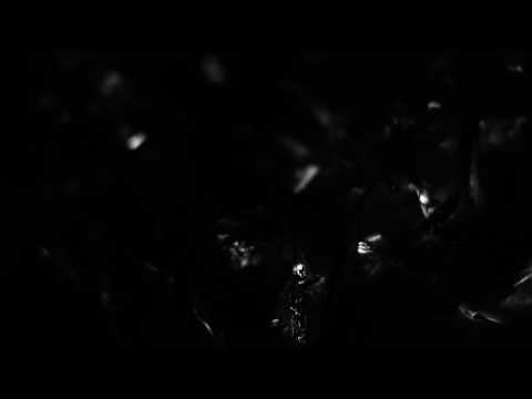 Thumbnail for Carry the Fire video