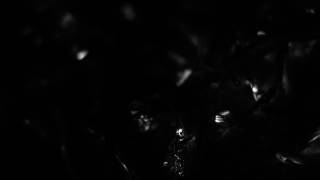 Dustin Kensrue - Carry The Fire [With Commentary]