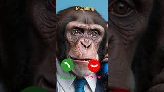 Download lagu Monkey Calling #iphone #ringtone #dance mp3 Download lagu Monkey Calling #iphone #ringtone #dance mp3