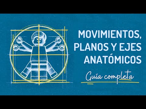 Anatomical Planes and Positions for TCAEs | Movements and Axes in Anatomy