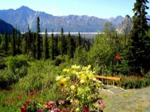 My Choice 711 - Brian McGee: The Wild Rose of the Mountain