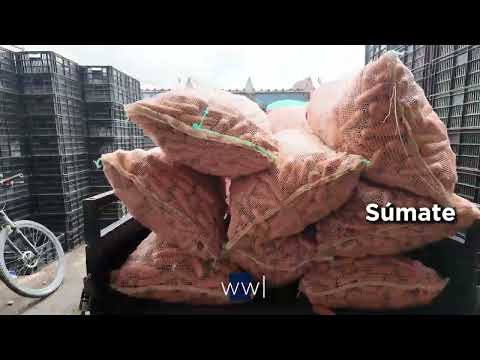 S.O.S. Colombia: Thousands in Urgent Need