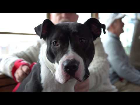 Best Holiday Ever - Extended Cut | Freshpet