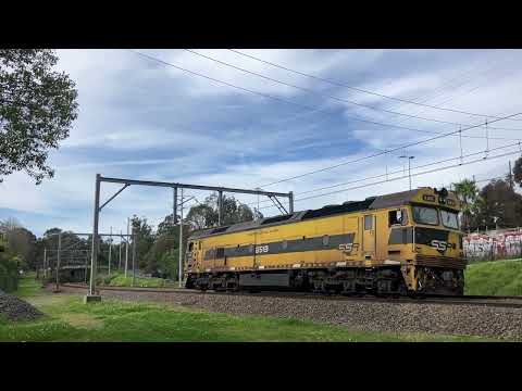 20240823_1410 D177 Gonarro