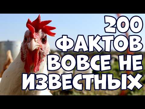 200 ИНТЕРЕСНЫХ ФАКТОВ, ВОВСЕ НЕ ИЗВЕСТНЫХ МНОГИМ