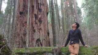 On the Road in a Big Country... Again! (USA Take 2)