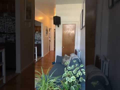 video 1