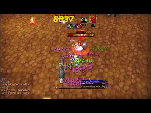 Survival hunter + RPala + Rsham Arena 3v3 Firestorm server 5.4.8