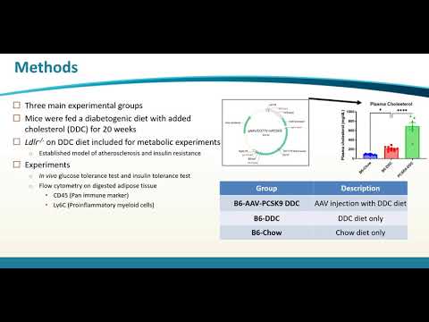 Thumbnail image of video presentation for AAV-PCSK9 mouse model of hypercholesterolemia does not serve as a useful model of metabolic syndrome