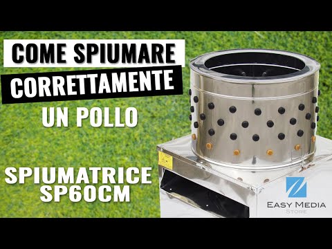 SP60CM chicken plucker in action - scalding and plucking