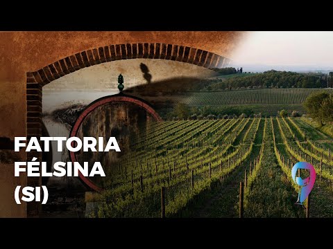 L'Azienda vitivinicola Félsina (SI)